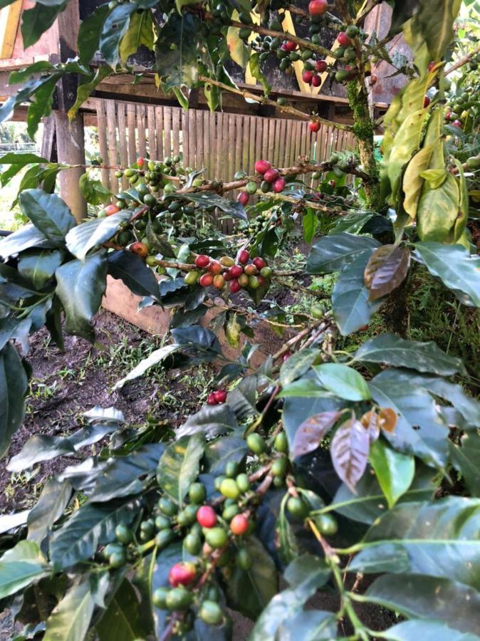Alojamiento Rural Jardin Consentido ภายนอก รูปภาพ