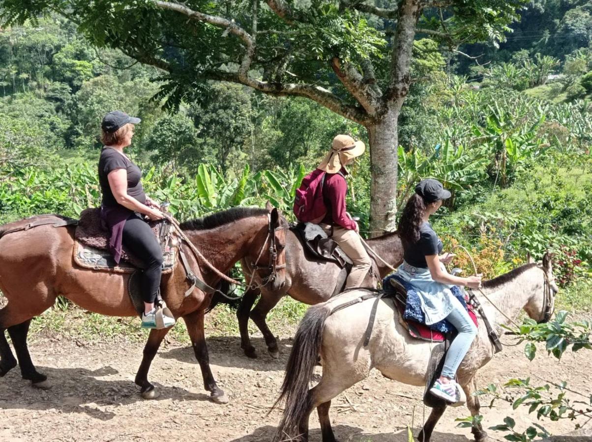 Alojamiento Rural Jardin Consentido ภายนอก รูปภาพ