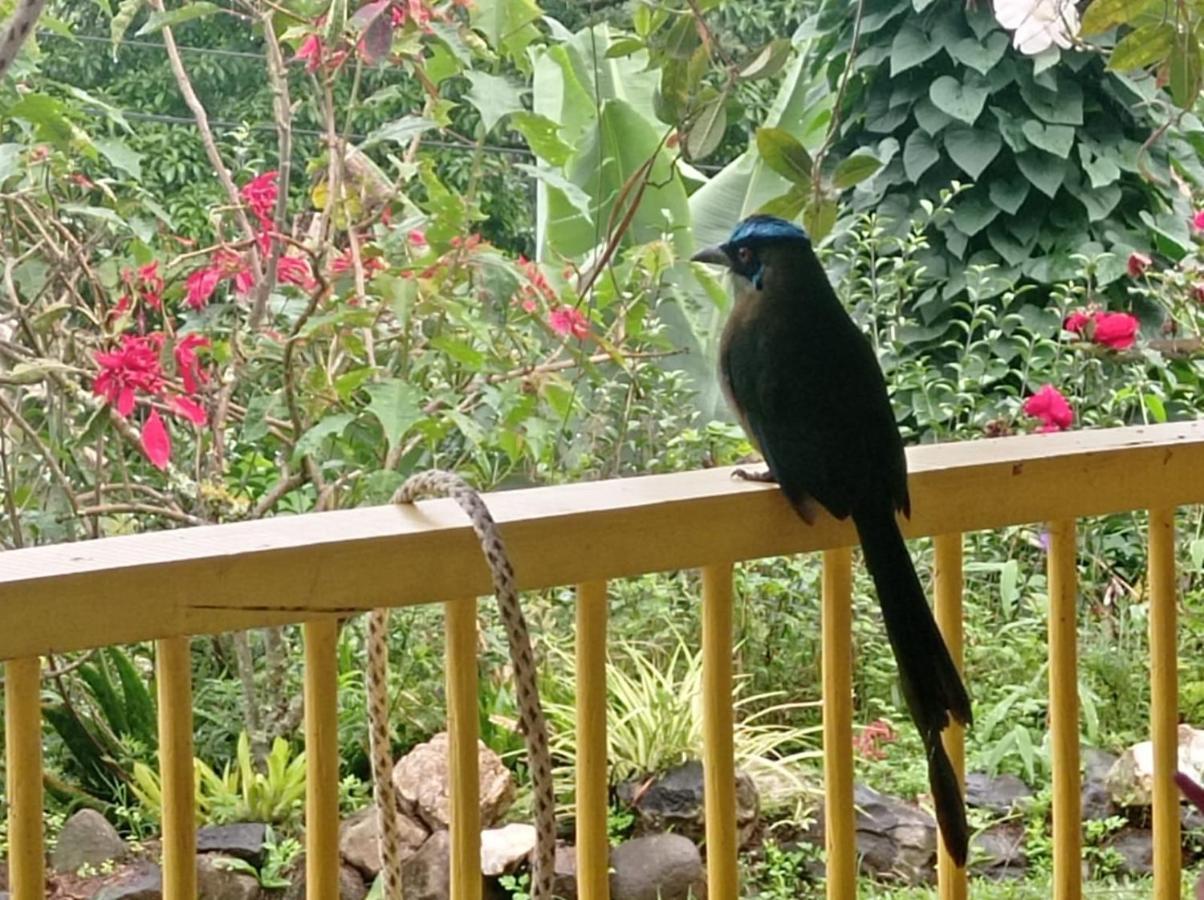 Alojamiento Rural Jardin Consentido ภายนอก รูปภาพ