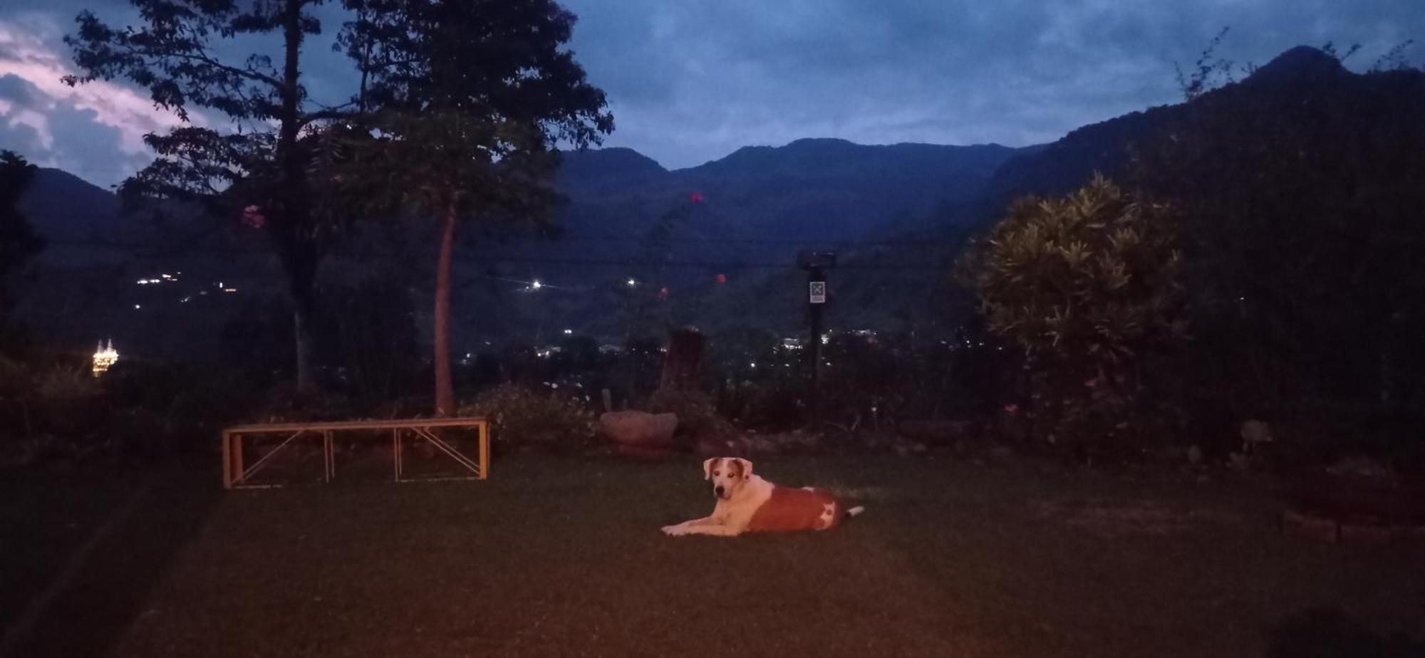 Alojamiento Rural Jardin Consentido ภายนอก รูปภาพ