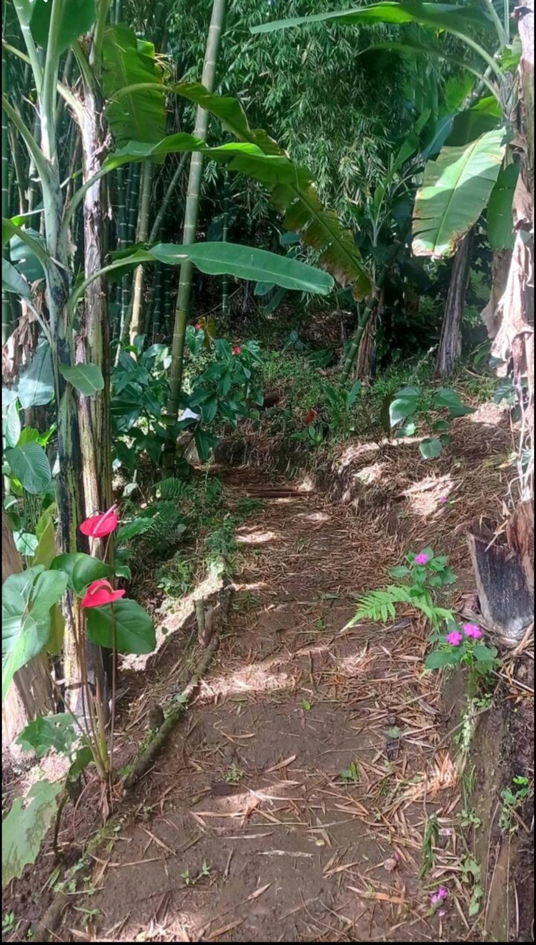 Alojamiento Rural Jardin Consentido ภายนอก รูปภาพ