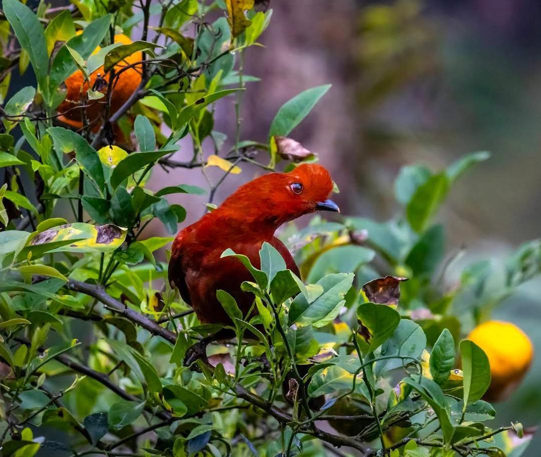 Alojamiento Rural Jardin Consentido ภายนอก รูปภาพ