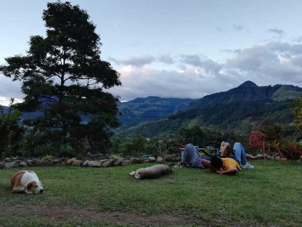 Alojamiento Rural Jardin Consentido ภายนอก รูปภาพ