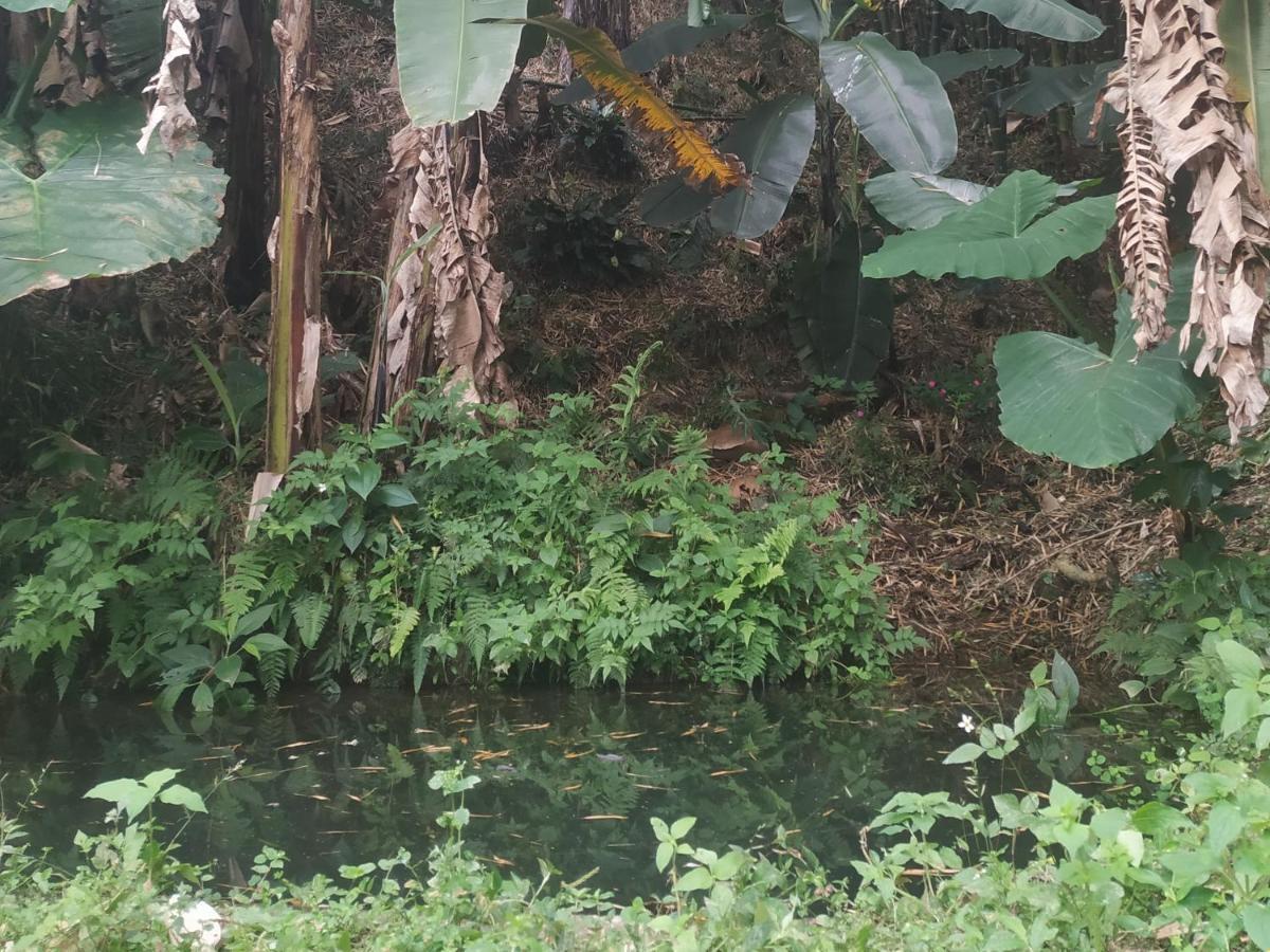 Alojamiento Rural Jardin Consentido ภายนอก รูปภาพ