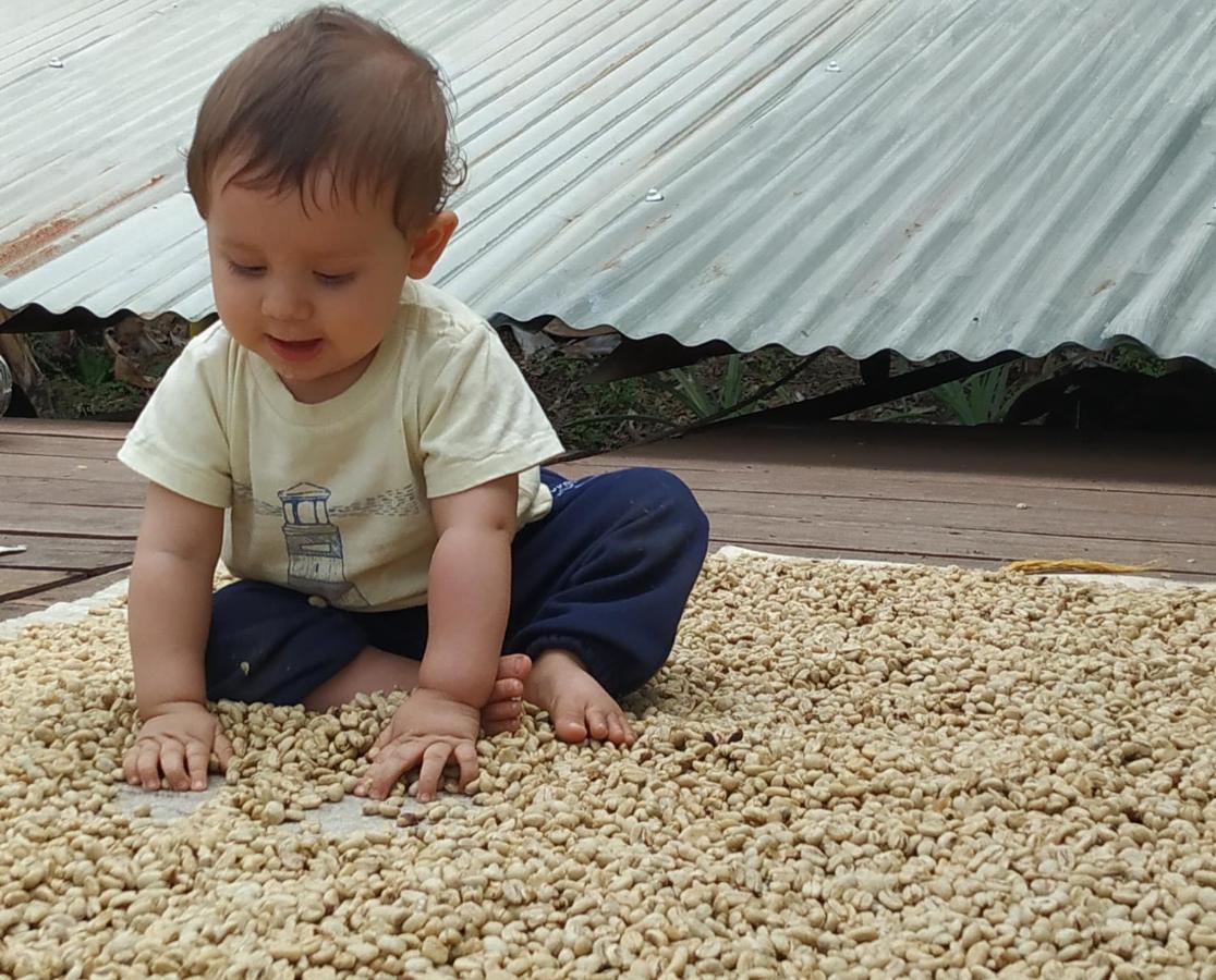 Alojamiento Rural Jardin Consentido ภายนอก รูปภาพ